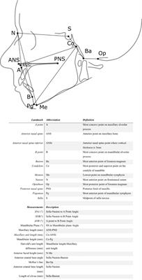 Craniofacial and Craniocervical Features in Cartilage-Hair Hypoplasia: A Radiological Study of 17 Patients and 34 Controls